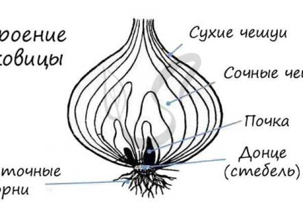 Ссылка кракен официальная тор